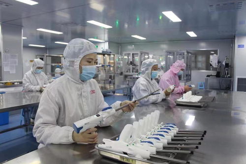 身處巴菲特也要買買買的供應鏈行業，國內企業如何應對全球競爭 專訪廈門國貿總裁蔡瑩彬