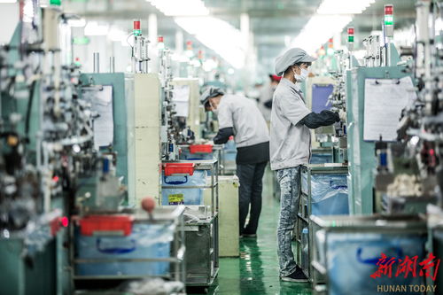 湖南14個市州2023年經濟社會發展亮點掠影